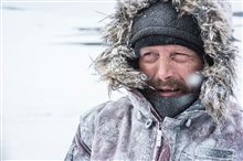 Arctic - Photo Gallery