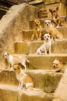Beverly Hills Chihuahua - Photo Gallery
