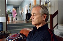 Broken Flowers - Photo Gallery