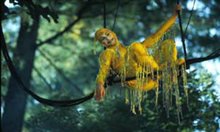Cirque Du Soleil: Journey Of Man In Imax 3D - Photo Gallery