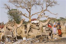 Darfur Now - Photo Gallery