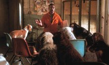 Dr. Dolittle 2 - Photo Gallery