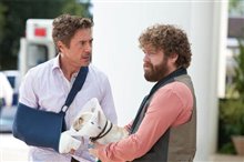 Due Date - Photo Gallery