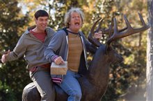 Dumb and Dumber To - Photo Gallery