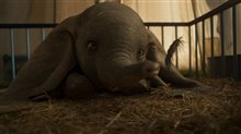 Dumbo - Photo Gallery
