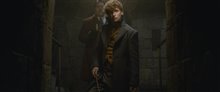 Fantastic Beasts: The Crimes of Grindelwald - Photo Gallery