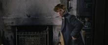 Fantastic Beasts: The Crimes of Grindelwald - Photo Gallery