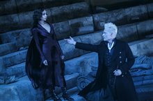 Fantastic Beasts: The Crimes of Grindelwald - Photo Gallery