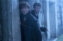 Fantastic Beasts: The Crimes of Grindelwald - Photo Gallery