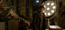 Fantastic Beasts: The Crimes of Grindelwald - Photo Gallery