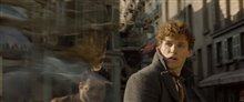 Fantastic Beasts: The Crimes of Grindelwald - Photo Gallery