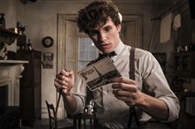 Fantastic Beasts: The Crimes of Grindelwald - Photo Gallery