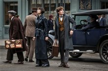 Fantastic Beasts: The Crimes of Grindelwald - Photo Gallery