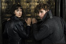 Fantastic Beasts: The Crimes of Grindelwald - Photo Gallery