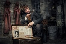 Fantastic Beasts: The Crimes of Grindelwald - Photo Gallery