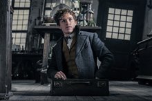 Fantastic Beasts: The Crimes of Grindelwald - Photo Gallery