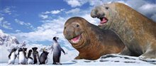 Happy Feet: The IMAX Experience - Photo Gallery