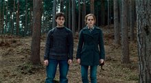 Harry Potter and the Deathly Hallows Part 1: An IMAX Experience - Photo Gallery