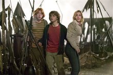 Harry Potter and the Goblet of Fire: The IMAX Experience - Photo Gallery