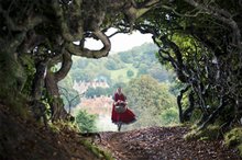 Into the Woods - Photo Gallery