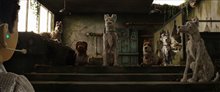 Isle of Dogs - Photo Gallery