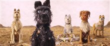 Isle of Dogs - Photo Gallery