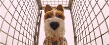 Isle of Dogs - Photo Gallery