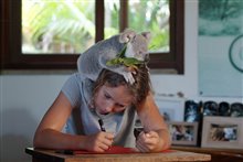 Izzy's Koala World (Netflix) - Photo Gallery