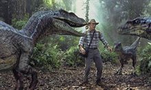 Jurassic Park III - Photo Gallery