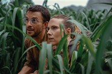 Jurassic World Rebirth - Photo Gallery