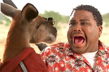 Kangaroo Jack - Photo Gallery