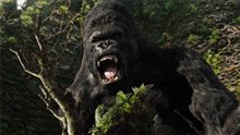 King Kong - Photo Gallery