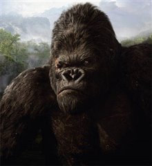 King Kong - Photo Gallery
