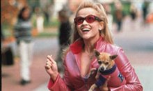 Legally Blonde - Photo Gallery