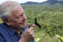 Life in Color with David Attenborough (Netflix) - Photo Gallery