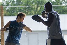 Never Back Down - Photo Gallery