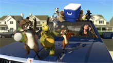 Over the Hedge - Photo Gallery