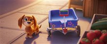 PAW Patrol: The Movie - Photo Gallery