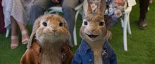 Peter Rabbit 2: The Runaway - Photo Gallery