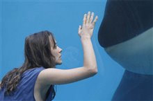 Rust and Bone - Photo Gallery