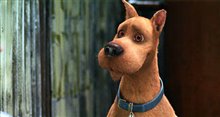Scooby-Doo 2: Monsters Unleashed - Photo Gallery