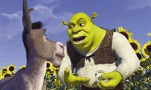 Shrek - Photo Gallery