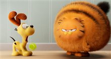 The Garfield Movie - Photo Gallery