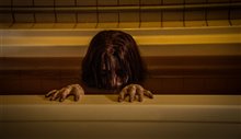 The Grudge - Photo Gallery