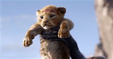 The Lion King - Photo Gallery