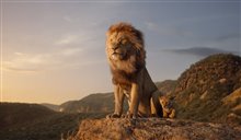 The Lion King - Photo Gallery