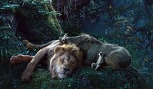 The Lion King - Photo Gallery