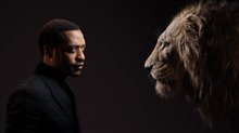 The Lion King - Photo Gallery