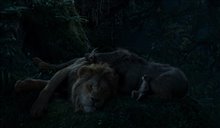 The Lion King - Photo Gallery