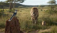 The Lion King - Photo Gallery